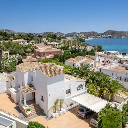 L'andragó